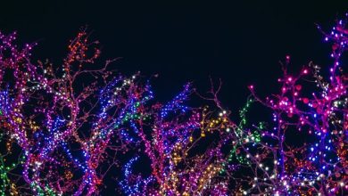 top-7-benefits-of-professional-holiday-light-installation-services