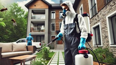 why-hiring-an-expert-pest-control-service-is-crucial