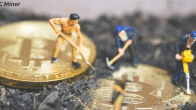 btcminer:-ten-years-of-safe-and-stable-cloud-mining,-principal-and-interest-guaranteed