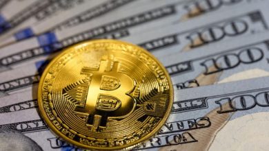 bitcoin-cash-eyes-$800-while-digitap-presale-rockets-toward-$200k-with-no-kyc-crypto-card